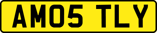 AM05TLY