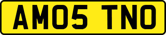 AM05TNO