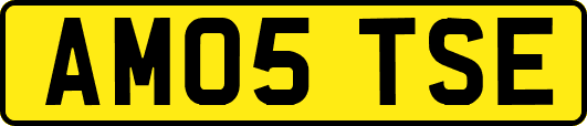 AM05TSE