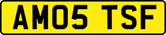 AM05TSF