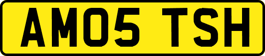 AM05TSH