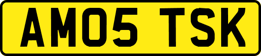 AM05TSK