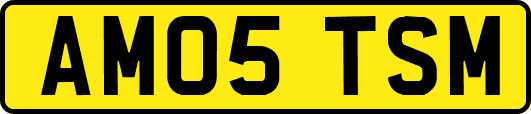 AM05TSM