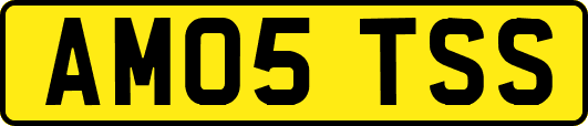 AM05TSS