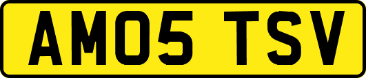 AM05TSV