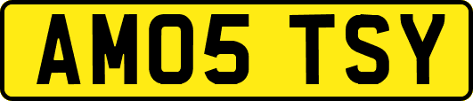 AM05TSY