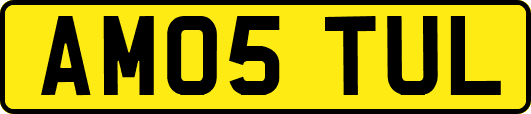 AM05TUL