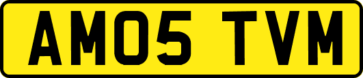 AM05TVM