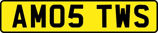 AM05TWS
