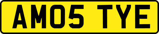 AM05TYE