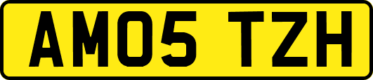 AM05TZH