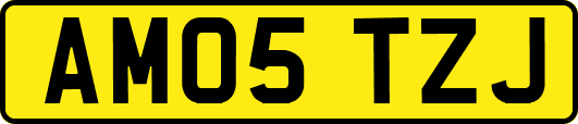 AM05TZJ