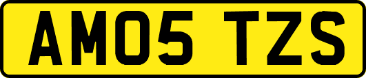 AM05TZS