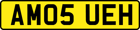AM05UEH