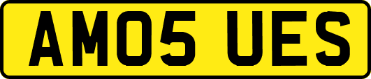 AM05UES