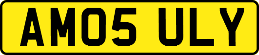 AM05ULY
