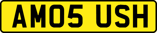 AM05USH