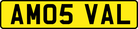 AM05VAL