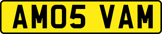 AM05VAM