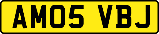 AM05VBJ