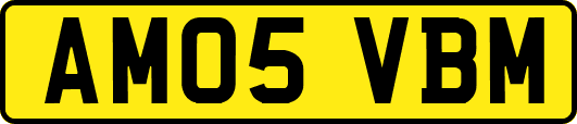 AM05VBM