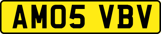AM05VBV
