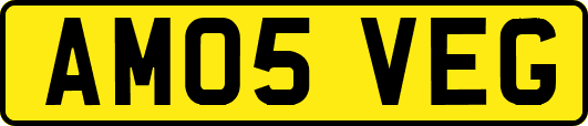 AM05VEG