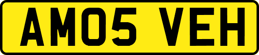 AM05VEH