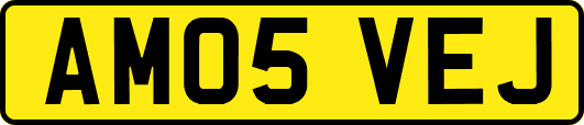 AM05VEJ