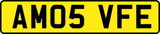 AM05VFE