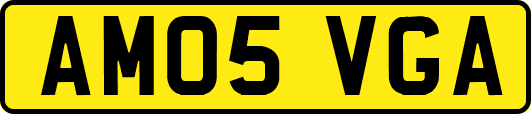 AM05VGA