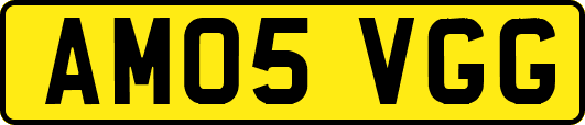 AM05VGG