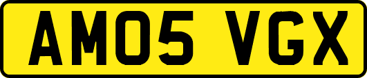 AM05VGX