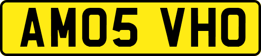 AM05VHO