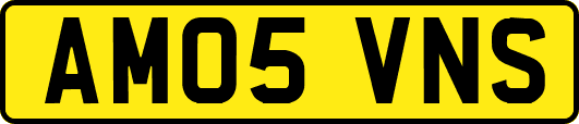 AM05VNS