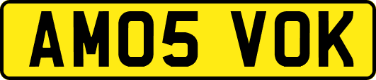 AM05VOK
