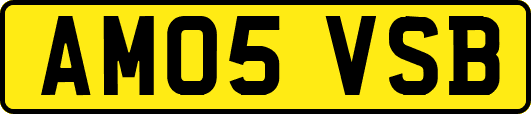 AM05VSB