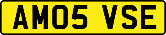 AM05VSE