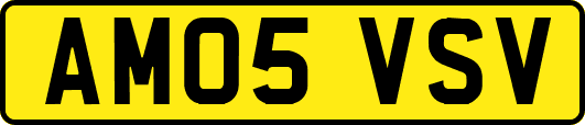 AM05VSV
