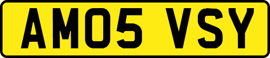 AM05VSY