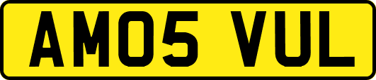 AM05VUL