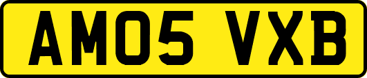 AM05VXB