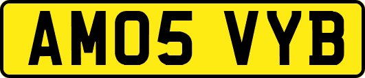 AM05VYB