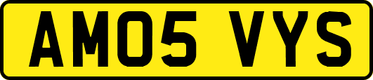 AM05VYS