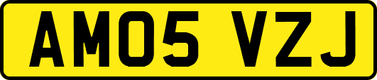 AM05VZJ