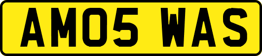 AM05WAS