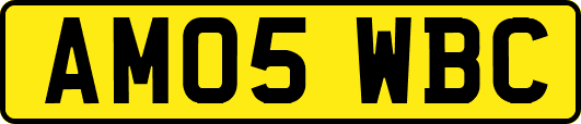 AM05WBC