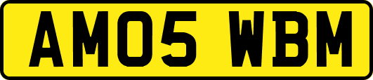 AM05WBM