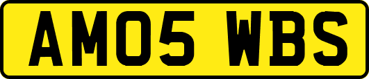 AM05WBS