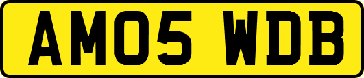 AM05WDB